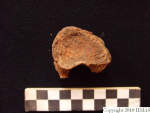 L_V20d5063 A16q75.1 R827 lR ta human bone found in q-lot.JPG L_V20d5063 A16q75.1 R827 lR ta human bone found in q-lot